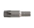 PowerLock Construction Screw Holder